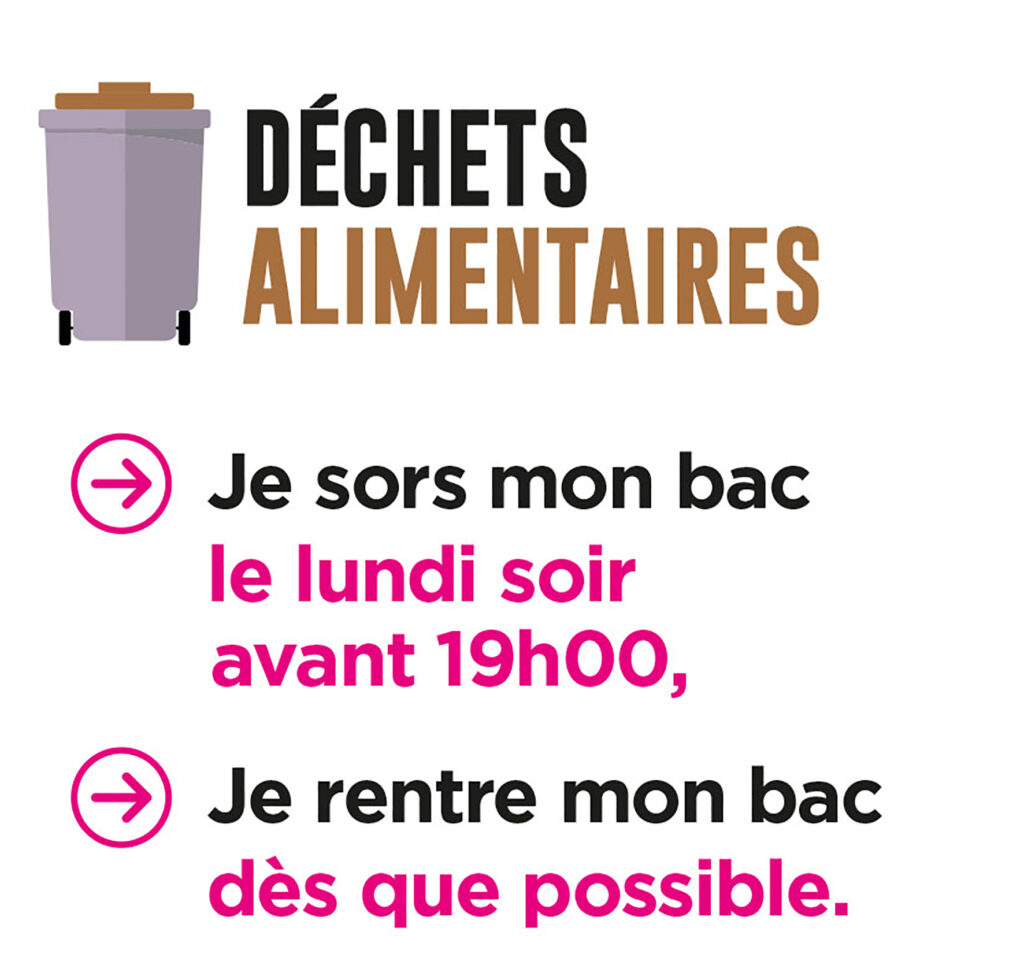 dechets alimentaires